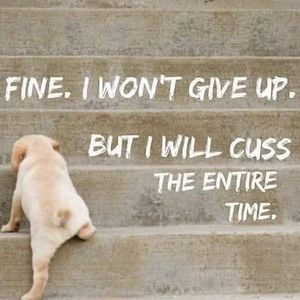 Meet your Posher, Muriel